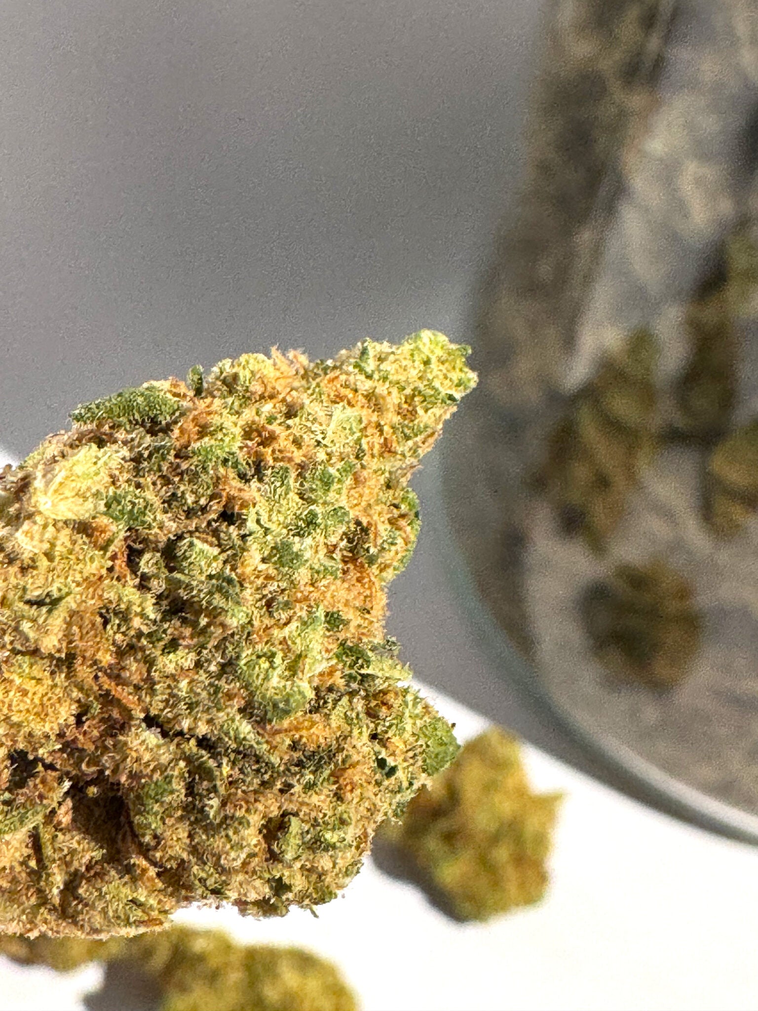 Amnesia CBD (Indoor)