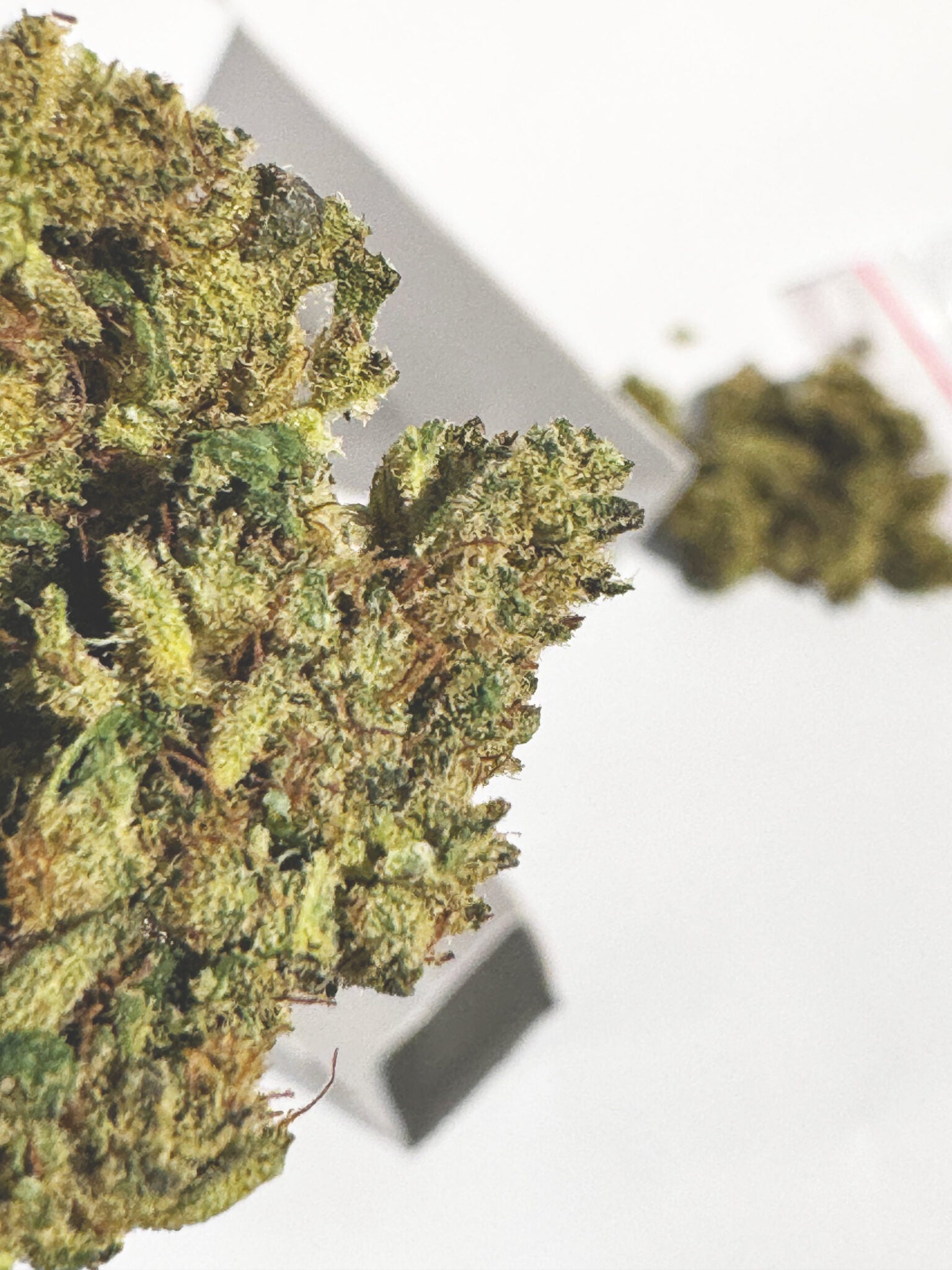 Lemon Haze – 5g of premium CBD