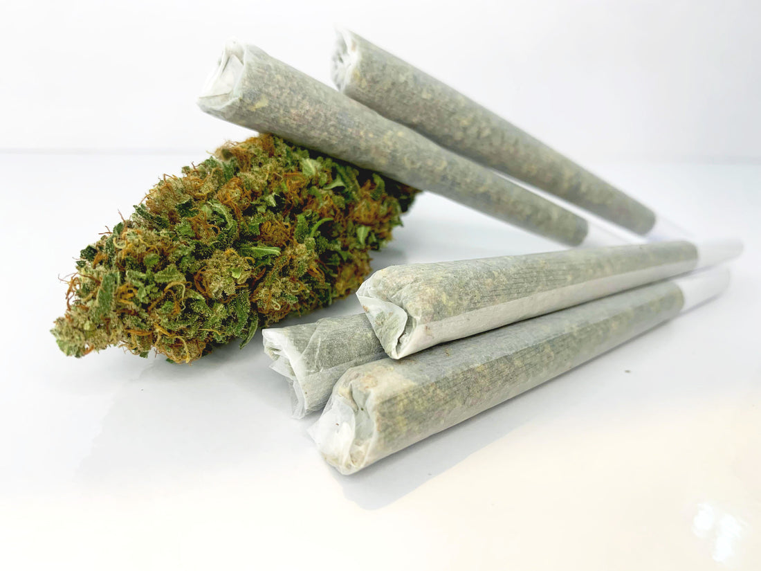 Pre-rolled Blue Dream N10