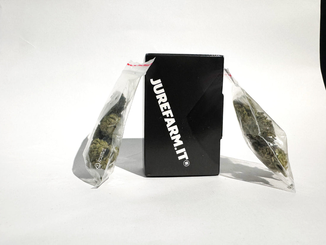 Lemon Haze – 5g of premium CBD