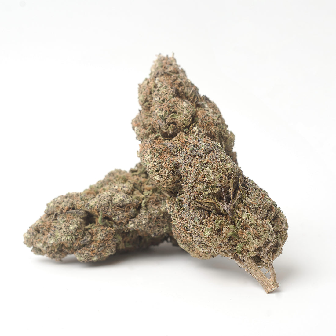 GS Cookies Purple CBD (Indoor)