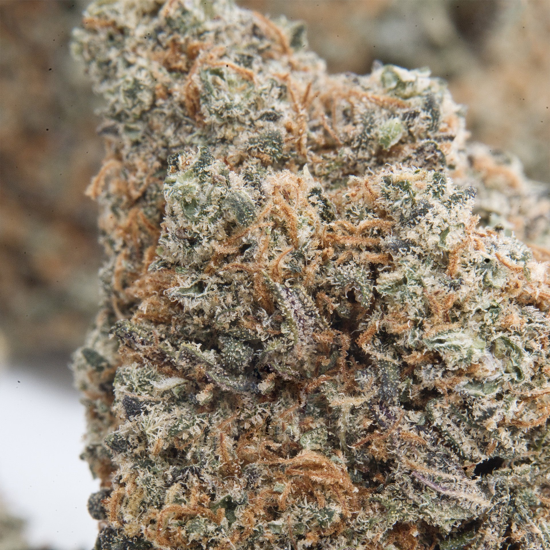 Bubba Kush CBD (outdoor)