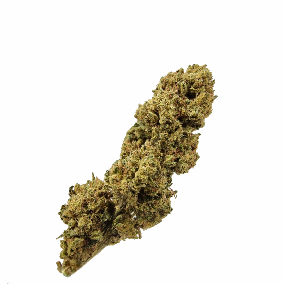 Harlequin CBD
