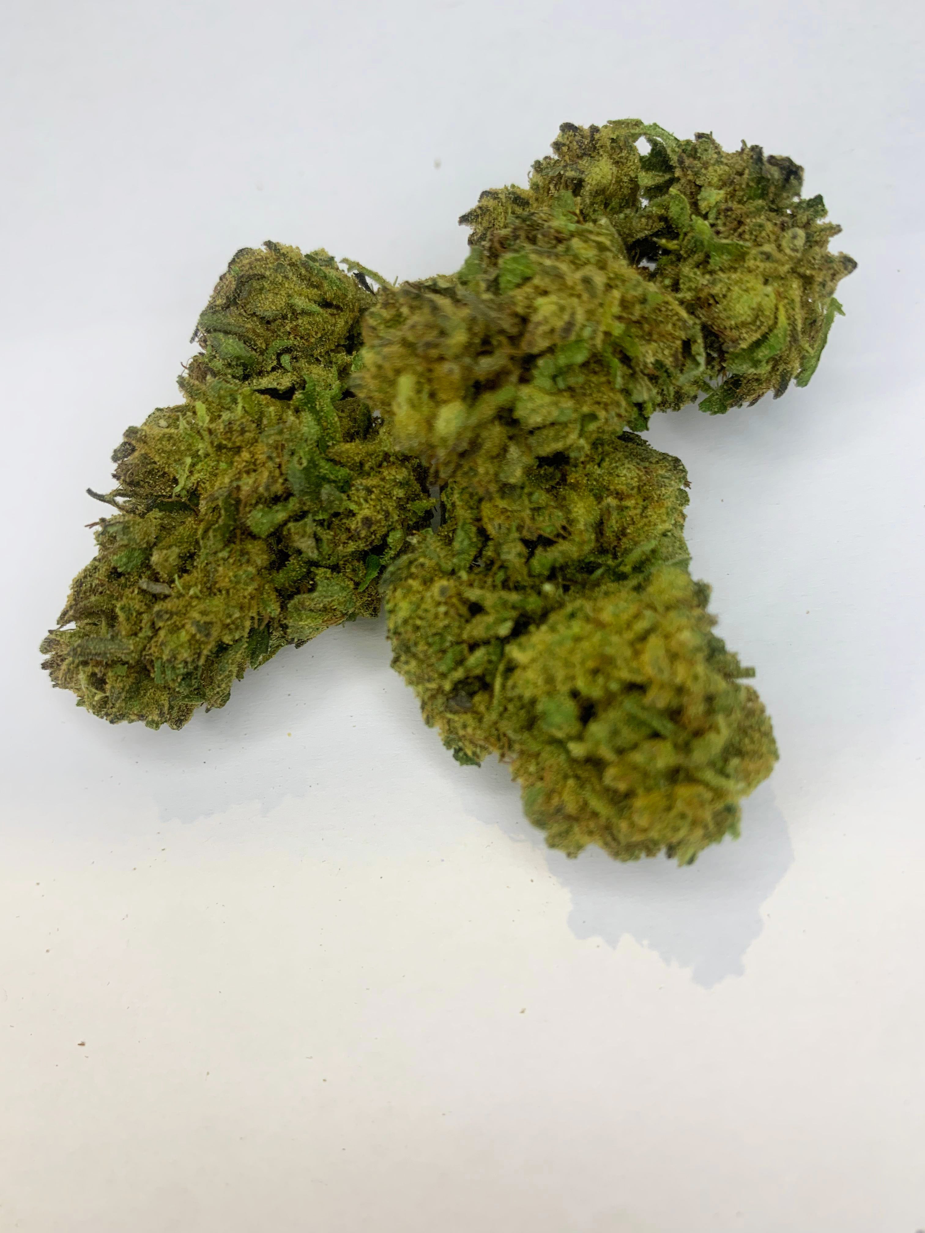 Amnesia CBD - Outdoor