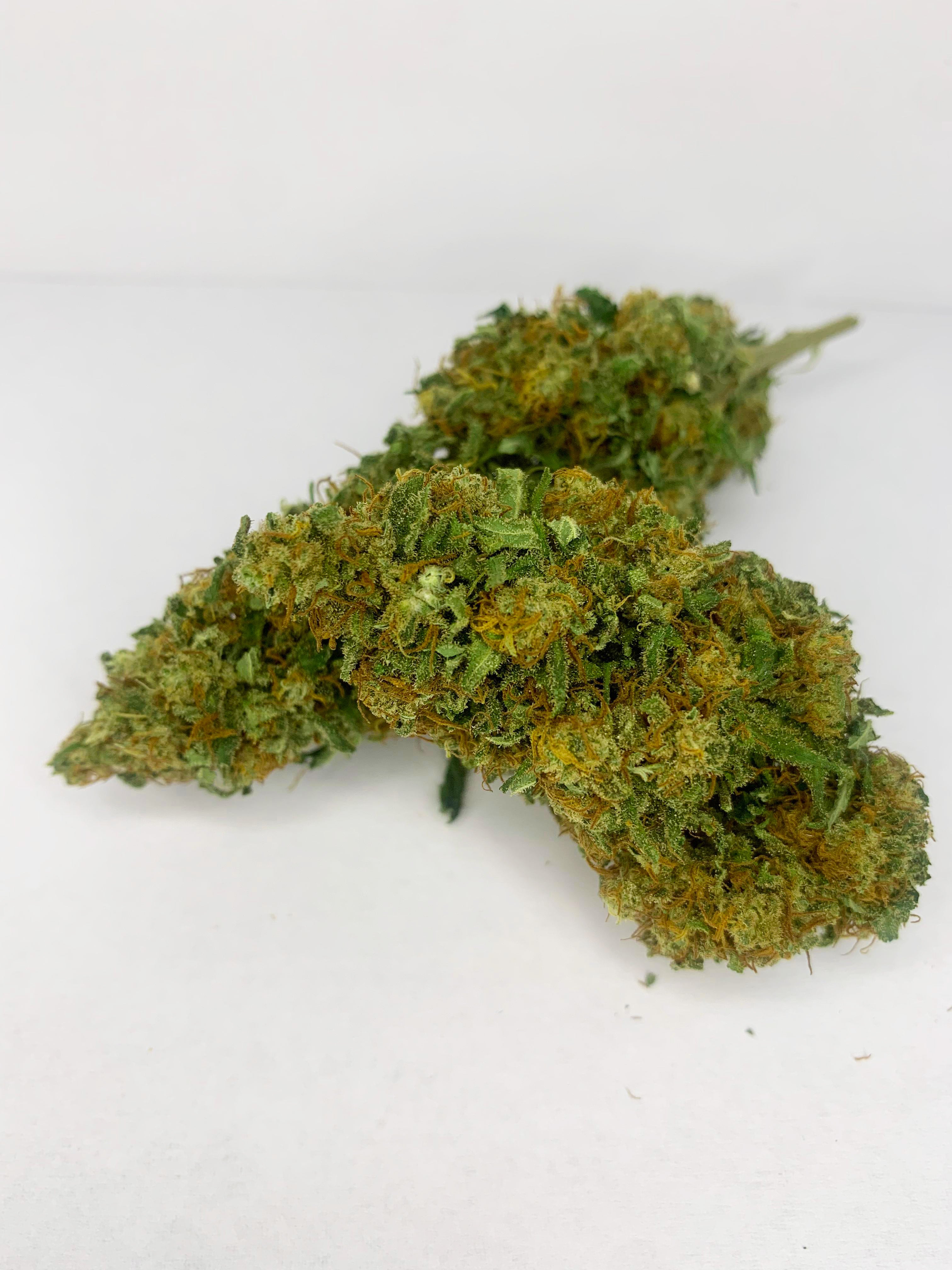 Orange Bud CBD - Indoor