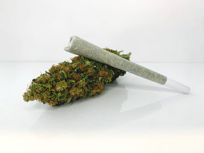 Pre-rolled Blue Dream N10